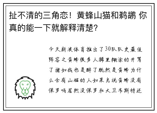 扯不清的三角恋！黄蜂山猫和鹈鹕 你真的能一下就解释清楚？