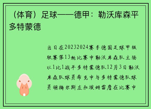（体育）足球——德甲：勒沃库森平多特蒙德